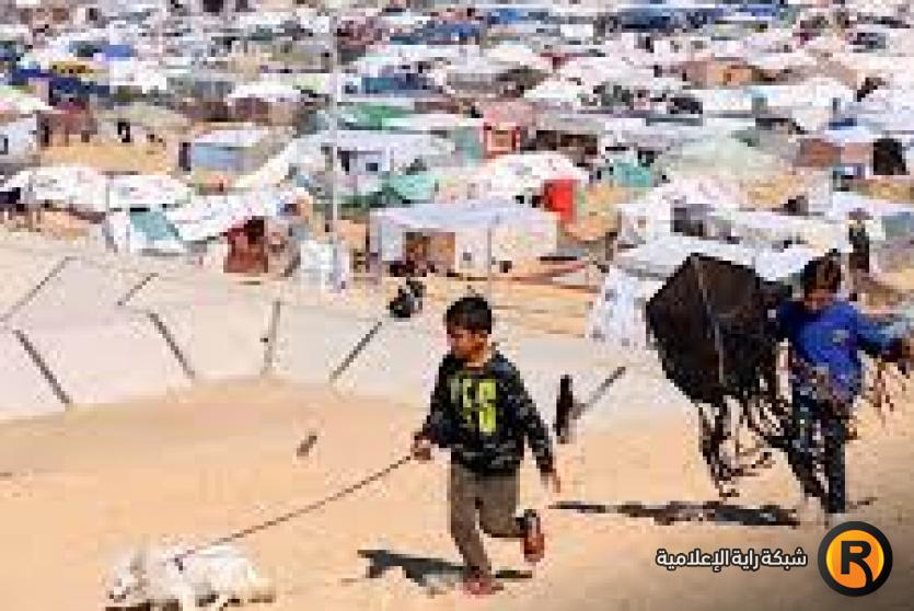 خيام النازحين في غزة - ارشيفية