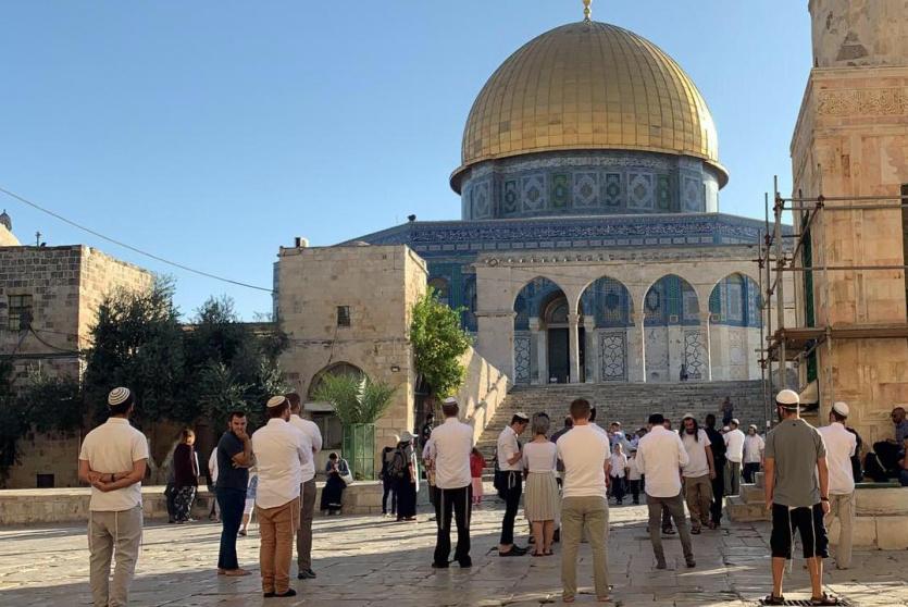 صورة من الارشيف