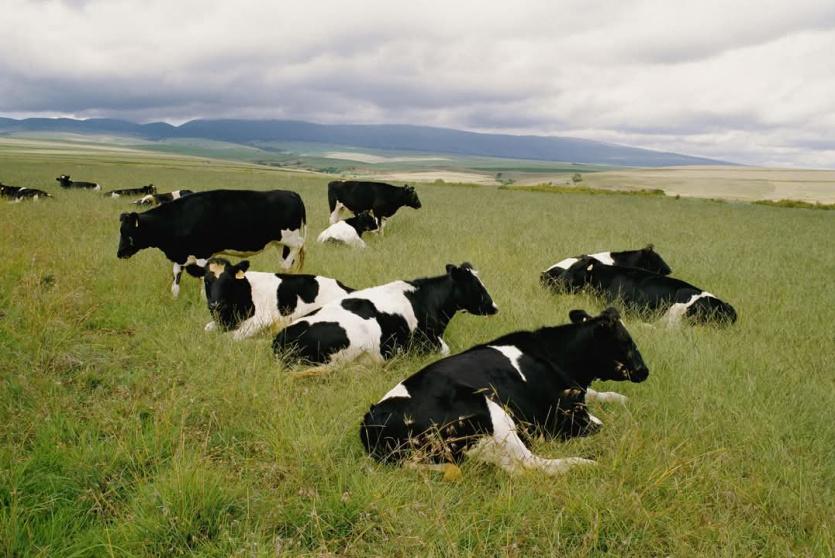 تردد قناة ناشيونال جيوغرافيك