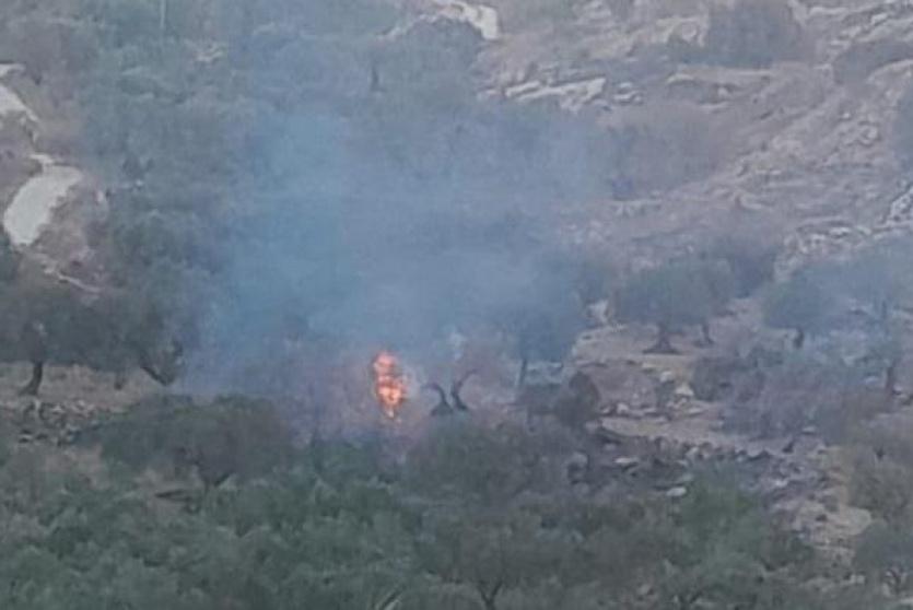 مستوطنون يضرمون النيران في أراضٍ زراعية شمال شرق رام الله