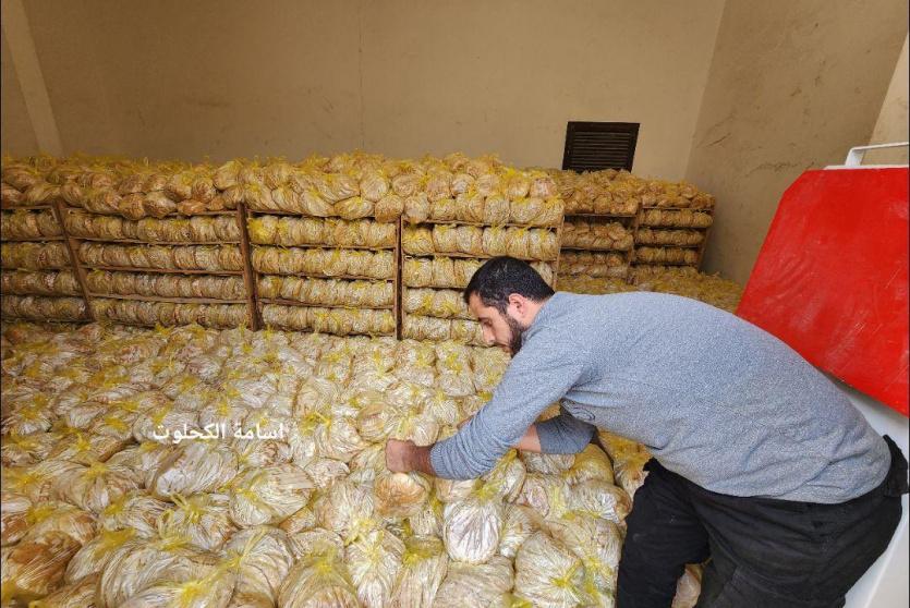 رابط برنامج الغذاء العالمي ربطة خبز طحين غزة