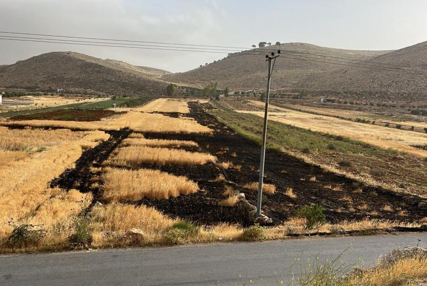 إحراق اراضي في قرية أبو فلاح