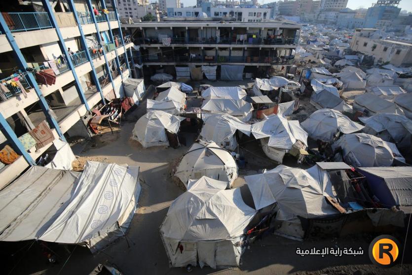 روابط مساعدات غزة 2025 رابط مؤسسة أنيرا و الفارس الشهم و التنمية بغزة وبرنامج الغذاء العالمي