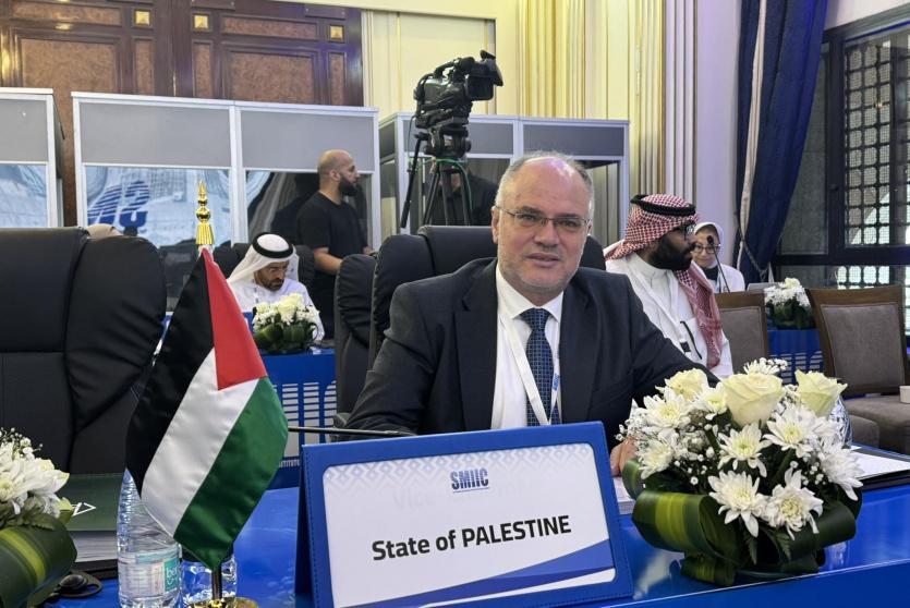 جانب من مشاركة فلسطين