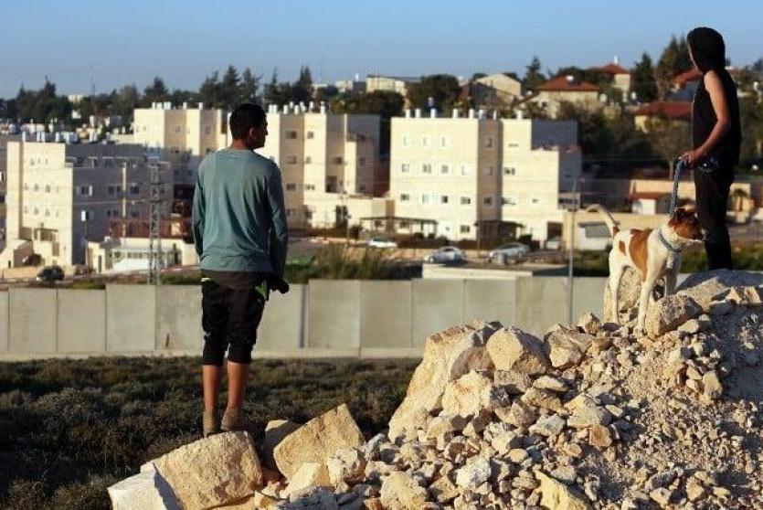 الاستيطان - ارشيف