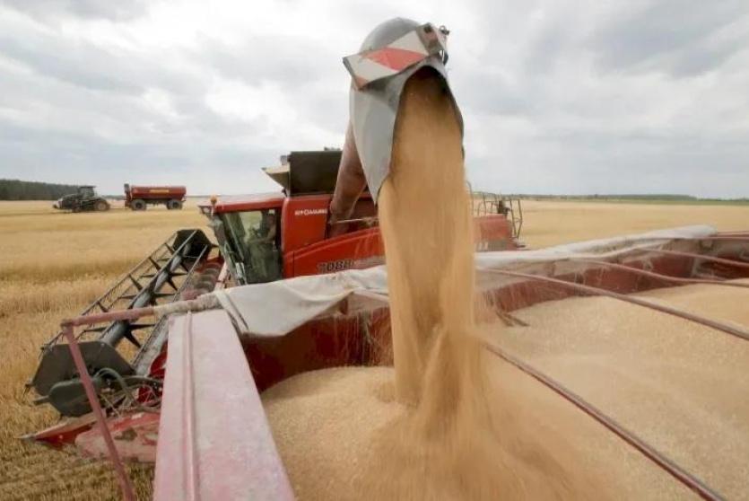 صورة أرشيفية تعبيرية