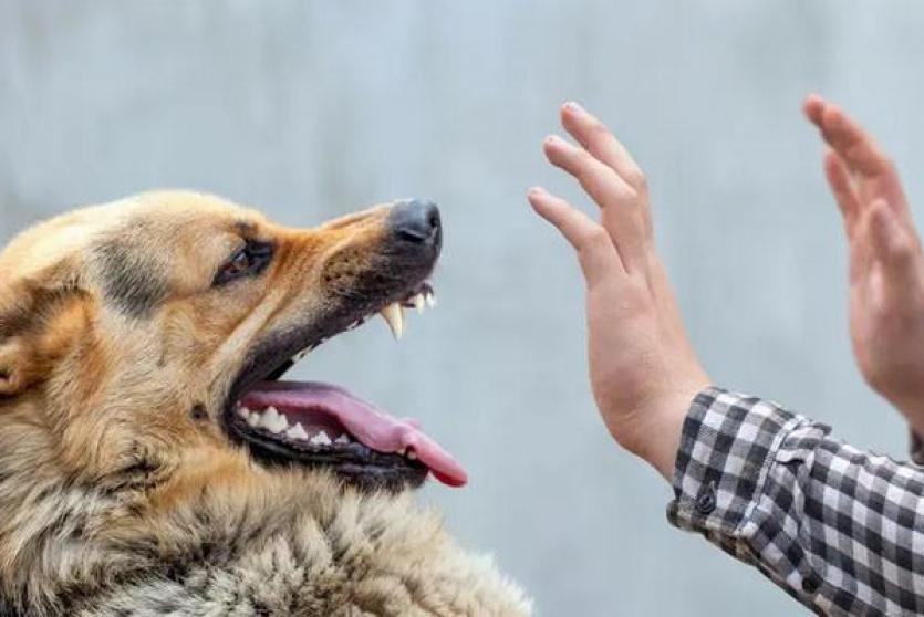 صورة توضيحية