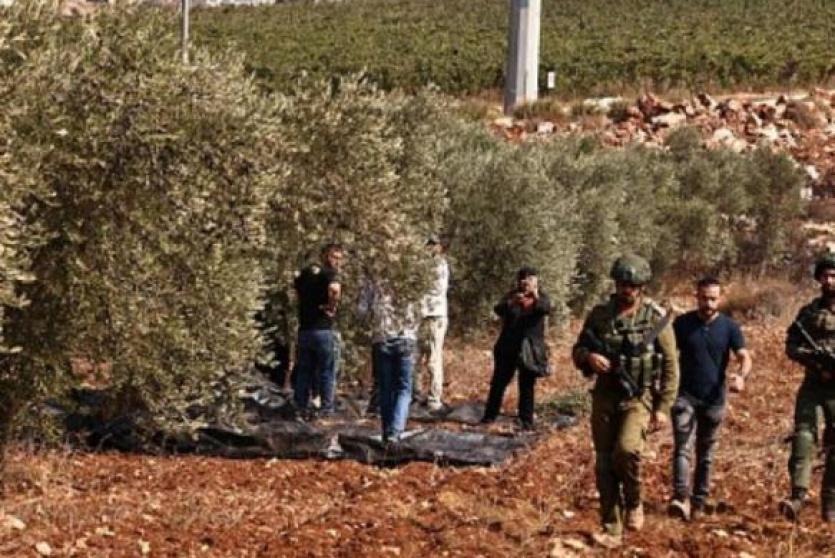 صورة أرشيفية تعبيرية