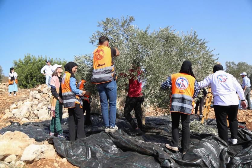 إطلاق فعالية اللجنة الوطنية حملة قطف الزيتون 2025 في أراضي بيرزيت