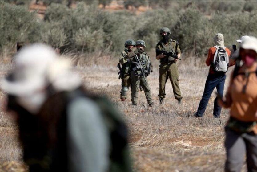 صورة ارشيفية