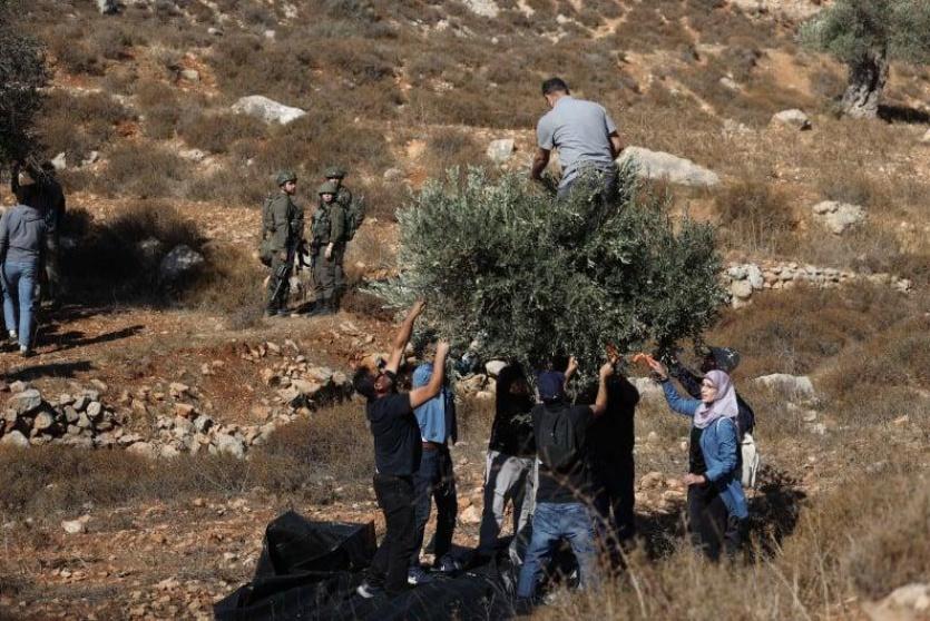 صورة ارشيفية