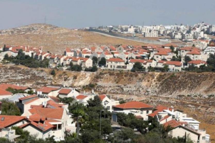 الاستيطان - ارشيف