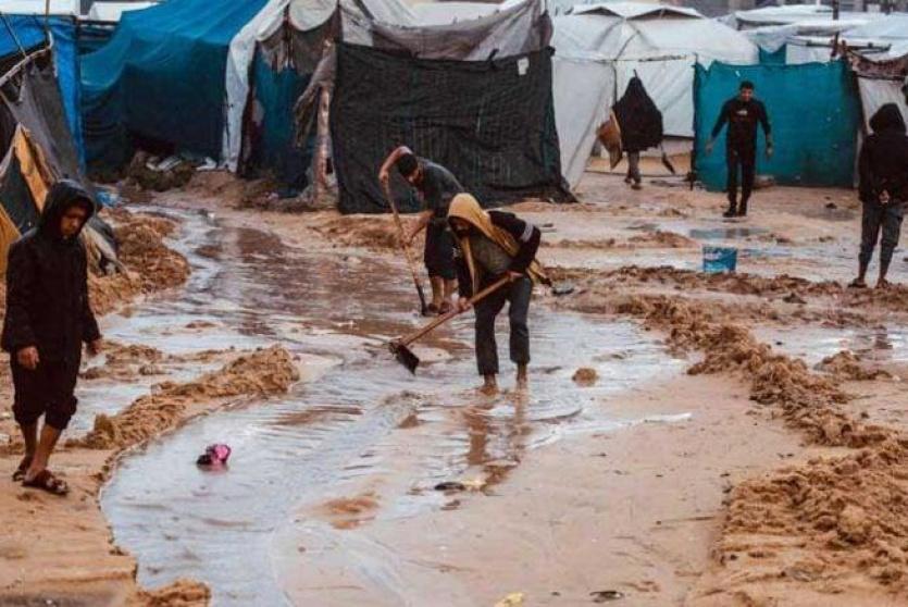 صورة من غزة