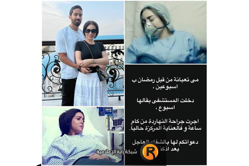 مي عز الدين