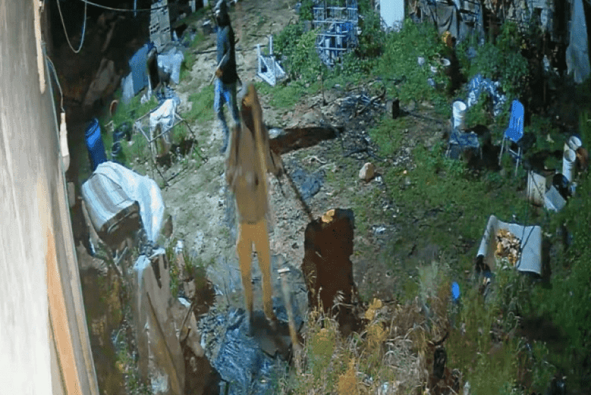 جانب من اعتداءات المستوطنين