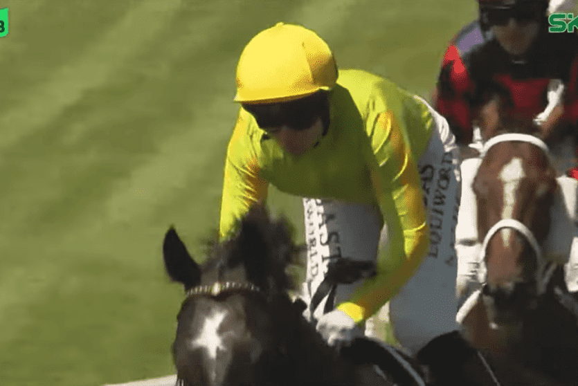 نتائج كأس دبي العالمي 2026