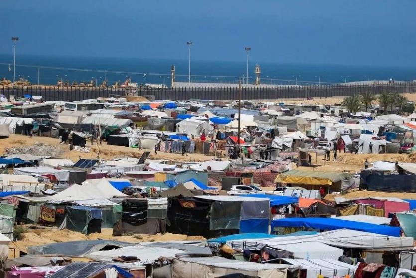 صورة من غزة