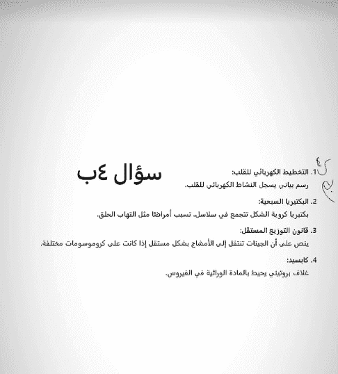 اجابات امتحان الاحياء توجيهي فلسطين 2025